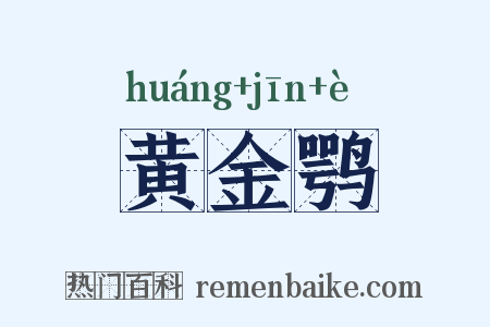 黄金鹗是什么意思的图片